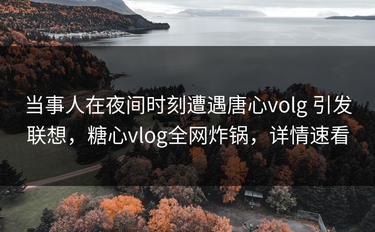 当事人在夜间时刻遭遇唐心volg 引发联想，糖心vlog全网炸锅，详情速看